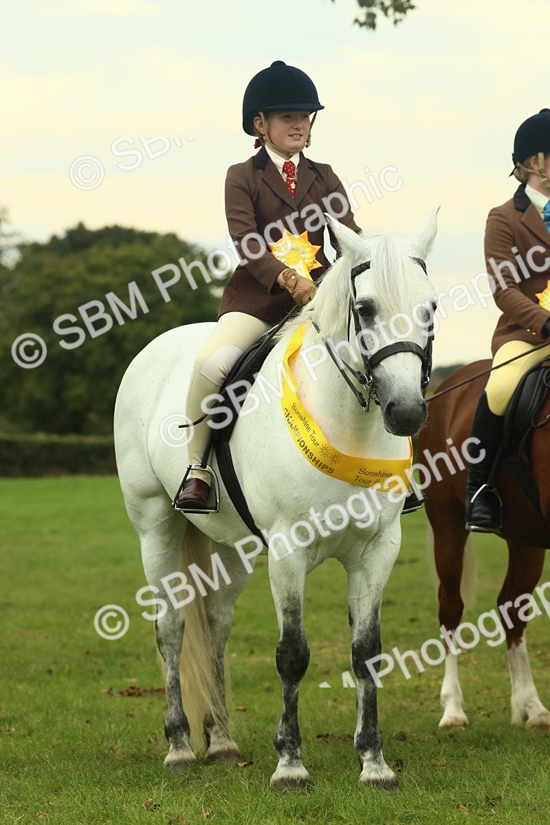 SBM_72314 - S60 - Mountain & Moorland Ridden Large Breeds