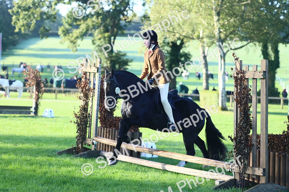 SBM_31933 - S28 - Nursery Stakes Working Hunter Pony