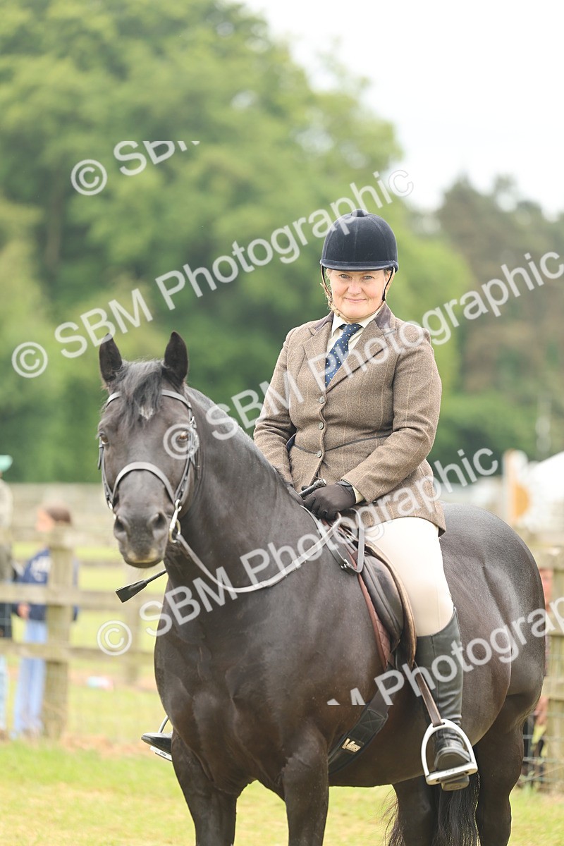 SBM_07241 - Class 76-77 - Ridden M&M Welsh Ponies