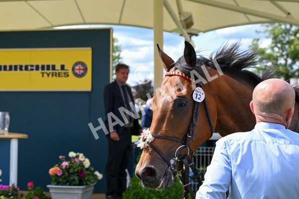 140625-Race 4-Hucklesbrook-2939 - Race 4 3.35pm Churchill Tyres Supporting Macmillan Sprint Handicap