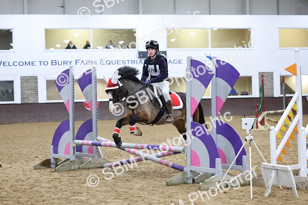 SBM_001107 - Class 3 - Christmas Tree Stakes - 60cm