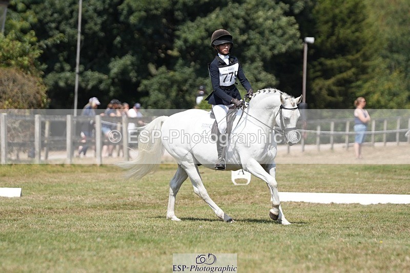 250823A-132843-31209 - Arena A