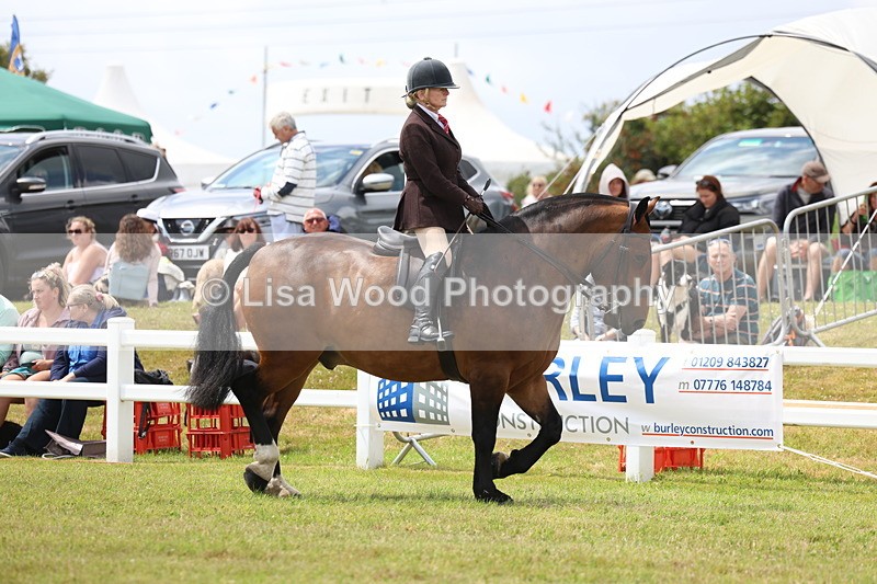 3E7A1871 - Class 10: Open Cob