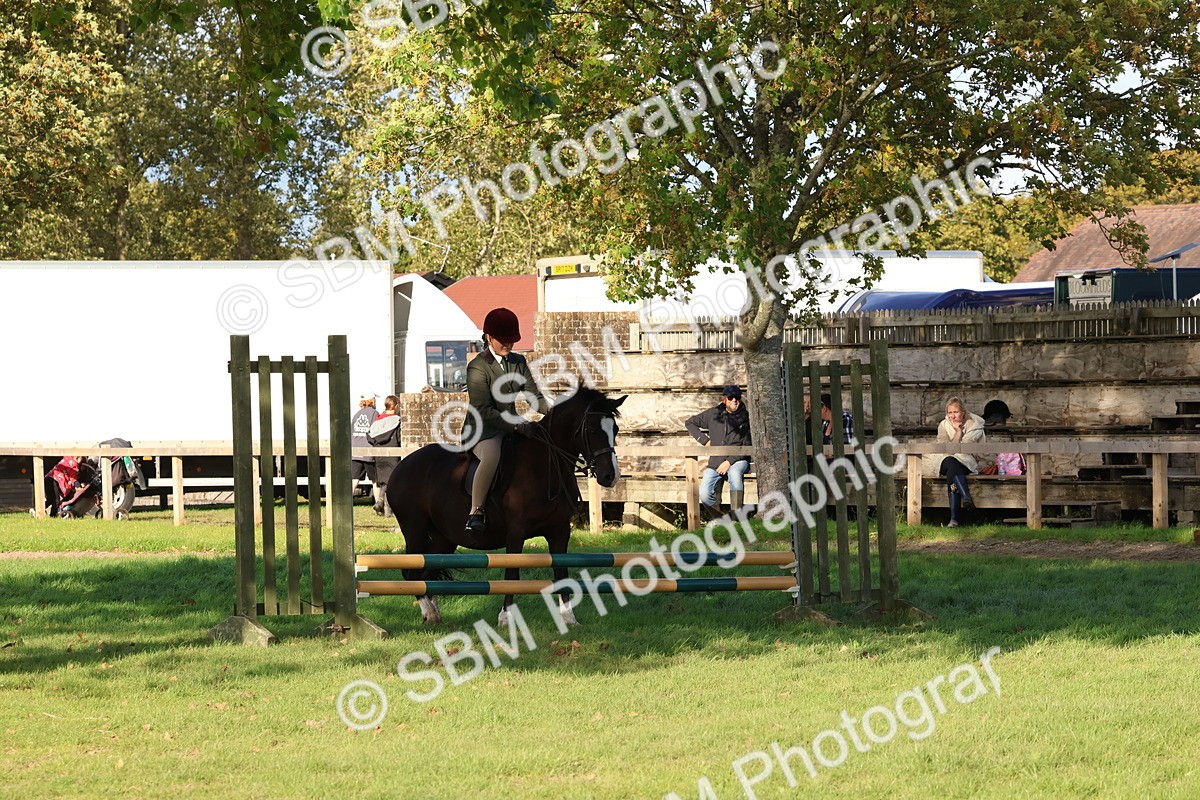 SBM_52546 - S13 - Pony Club Pony