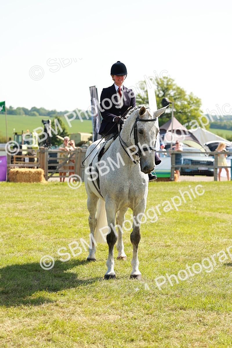 SBM_13383 - Class 70-71 - Side Saddle