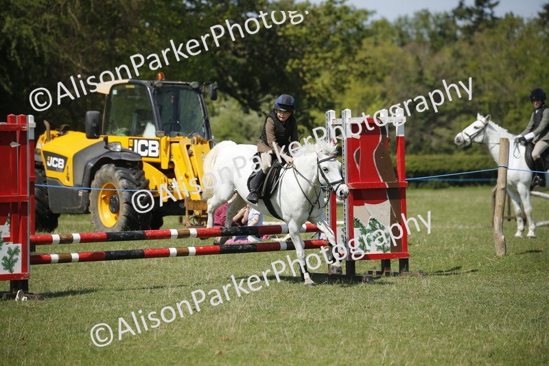 20250427-2336 - Class 13 - Novice Jumping 60cm