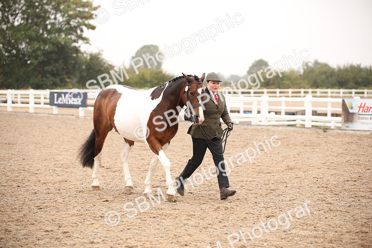 SBM_20202 - Class 703 - IH  Coloured