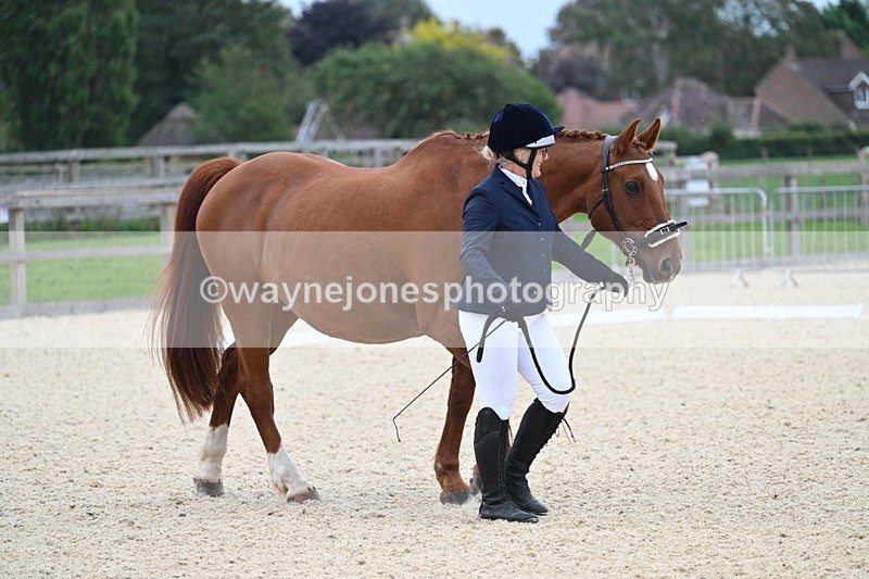 WJ7_1805 - Class 1 & Champs