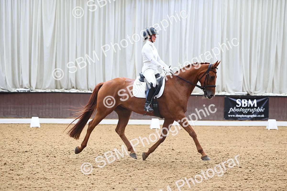 SBM_021716 - Class 14 - N6