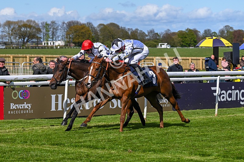 250424-Race 4-Classy Boy-1318 - Race 4