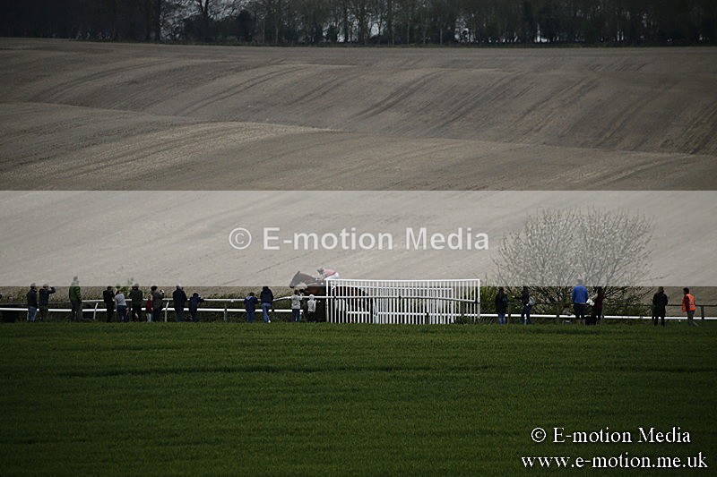 PtP 170417 548 - Old Berks Point-to-Point Lockinge 17/04/17