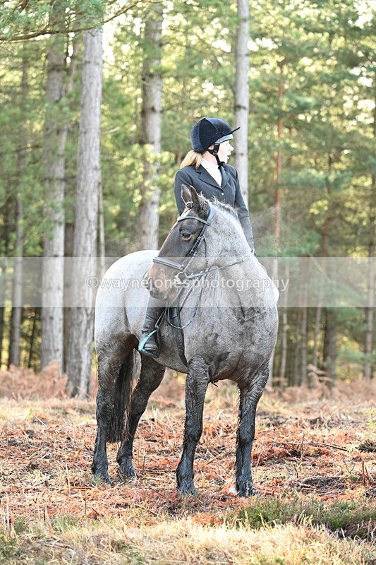 WJ7_7452 - Line 3 (no line 4 or 5)