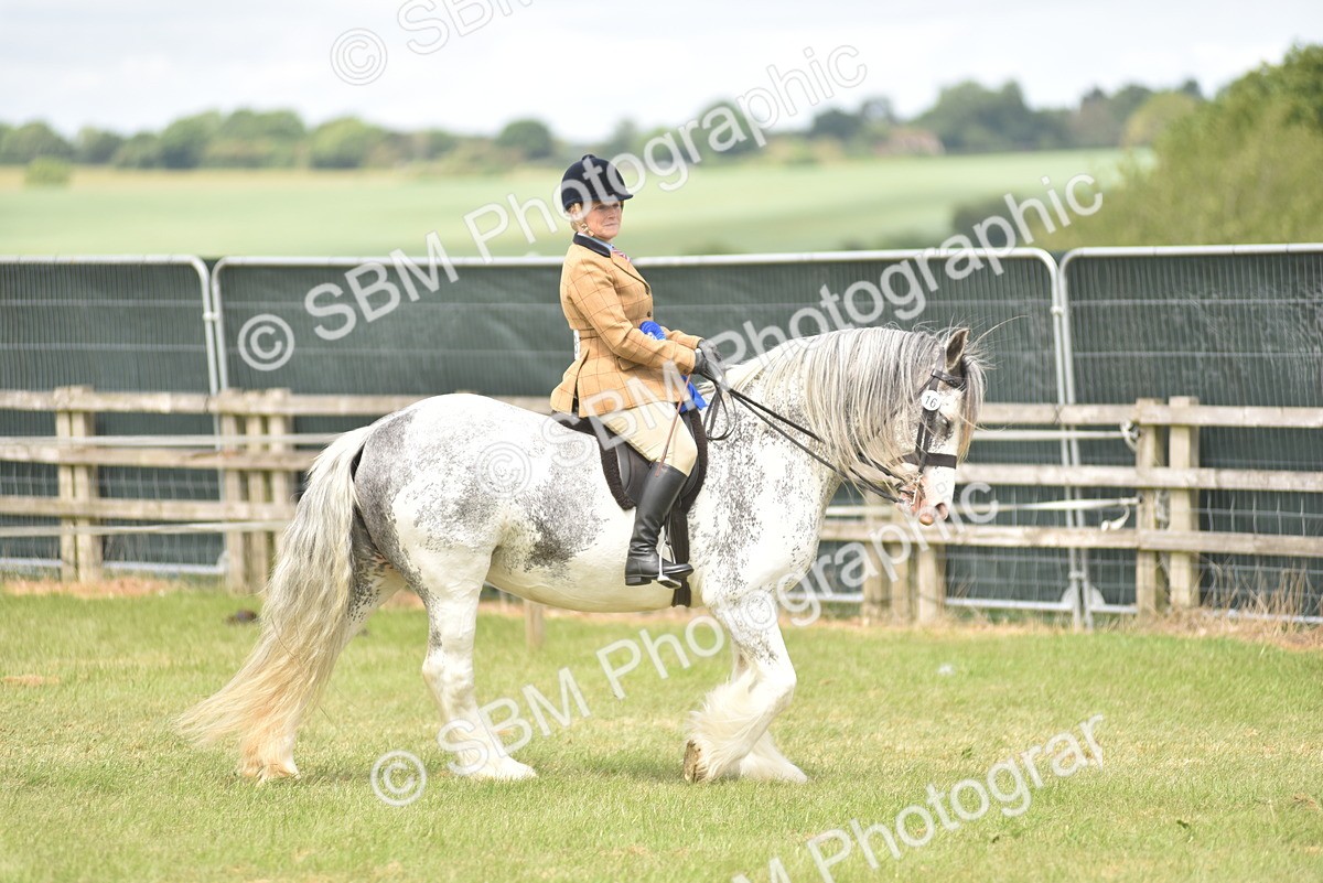 SBM_16002 - Class 117-122 - SSADL RIHS Qualifier