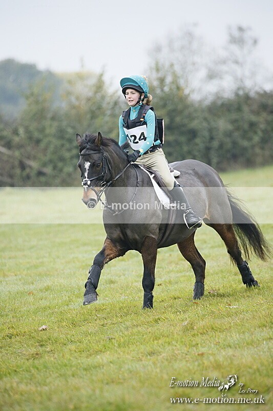 WWHT 181020 WWHT 181020 312 - WWEC Novice Restricted (0.80m) 18/10/20