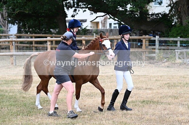 WJ7_9654 - Class 1 Lead Rein Pony