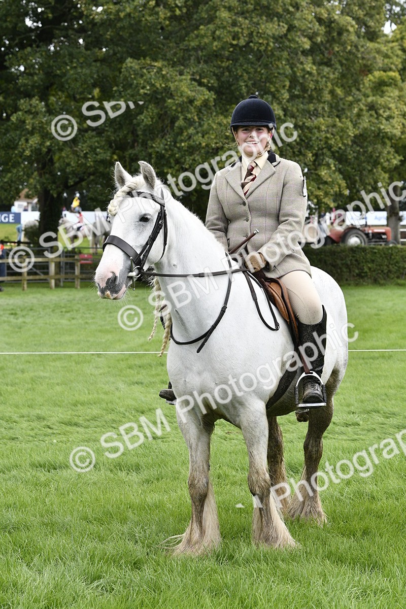 SBM_41605 - S32 - Mountain & Moorland Working Hunter Pony