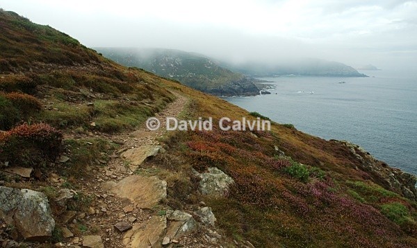 Path to Zennor - Coast