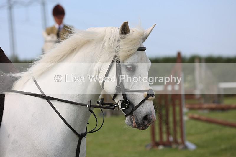 JPP_3867 - Class 23: Working Hunter 80cm
