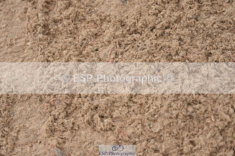 230916A-103100-03824 - Cls 14 Snr Foxhunter