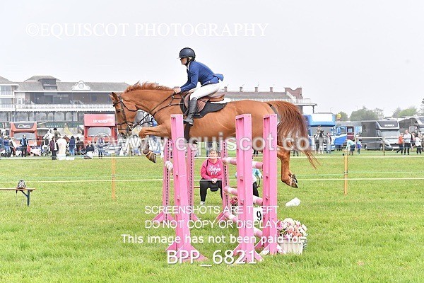 BPP_6821 - CLASS 2 RHS Classic Champ Qual (1.20m)