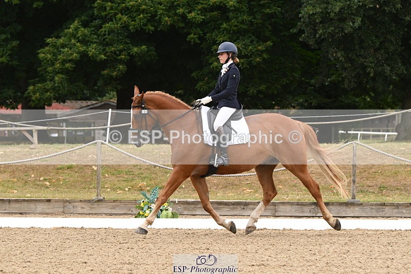 250720A-103155-09580 - 104-Molly.Northmore-Pennmoor.Liberation