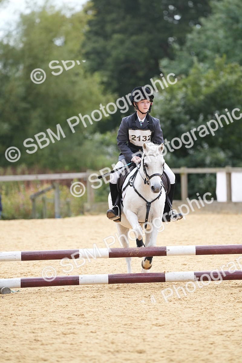 SBM_74775 - J4 - Mini Tour Junior Pony 45cm Championship
