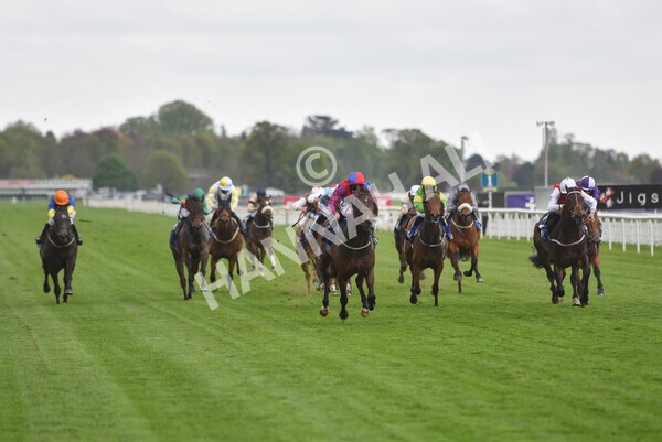 yr14052021r6-19 - Race 6 4.15pm Yorkshire Equine Practice Stakes