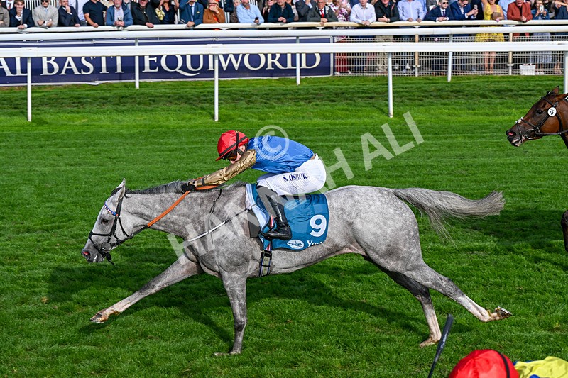 210826-Race 7-Silver Lake-0440 - Race 7 17.20pm Sky Bet EBF Fillies' Handicap