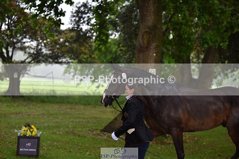 240522-151744-00233 - 375-DASSETT_ARTHALENT-Piggy_March