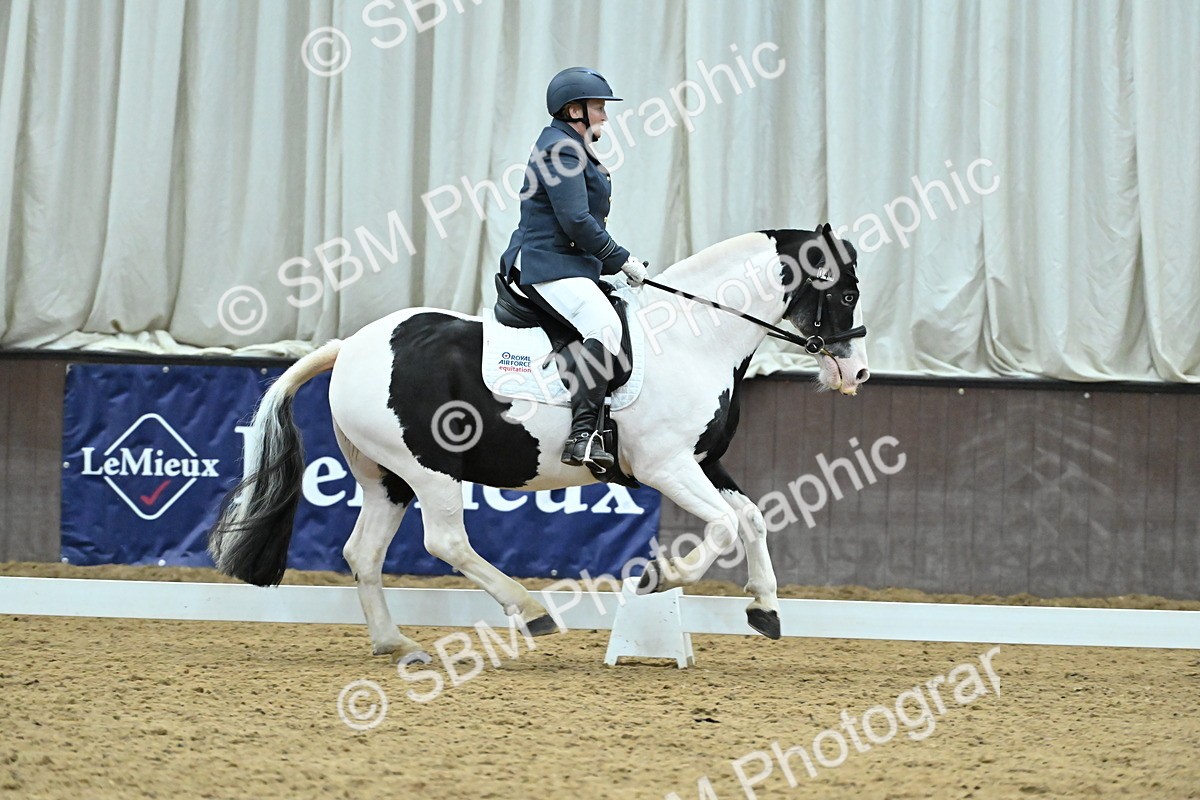 SBM_007404 - Class 81 - Novice 3