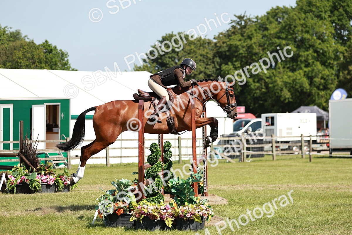 SBM_18331 - Class 112-113 - BSPS LIHS Working Sports Pony