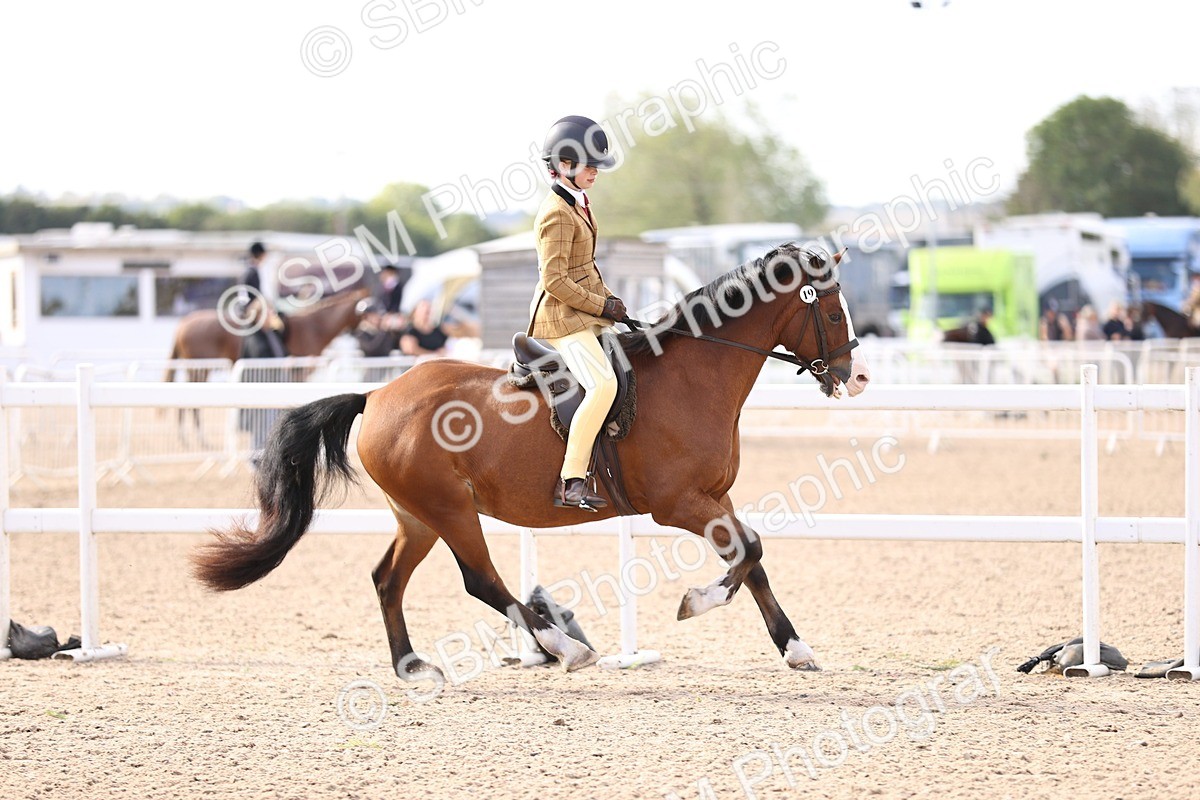 SBM_09029 - Class 403 - Grassroots Ridden - Junior