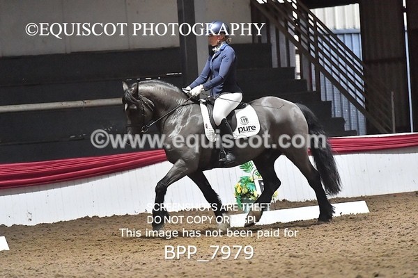 BPP_7979 - ELEM TEST 6