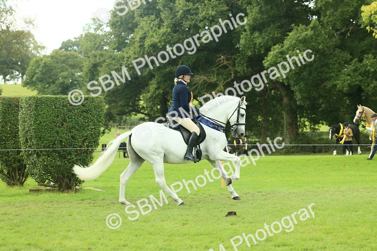 SBM_62555 - S62 - Foreign Breeds Ridden