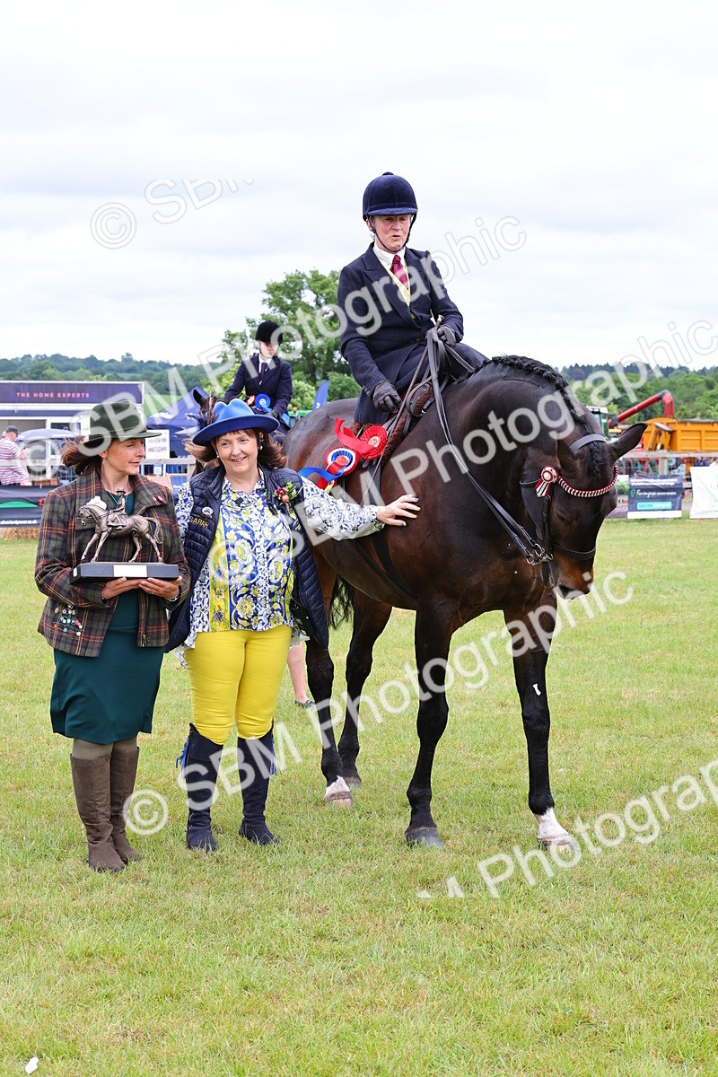SBM_02886 - Class 9-11 Side Saddle including LIHS Rising Star Ladies Show Horse