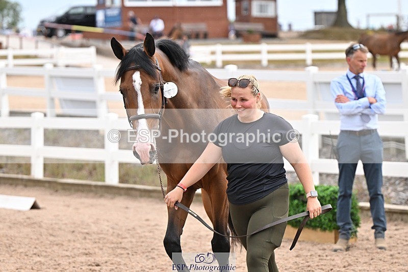 250716-151336-01795 - Trot Up 2.30 to 3.30