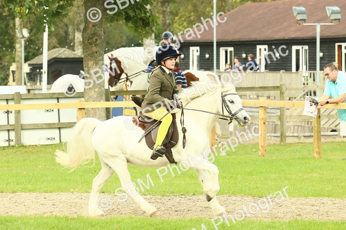 SBM_69909 - S59 - Mountain & Moorland Ridden Small Breeds