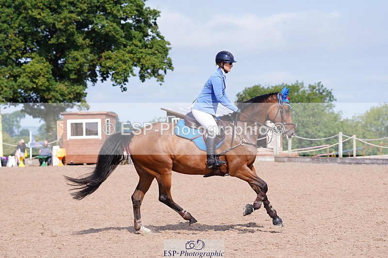 240802A-100044-03478 - Cls 15 Foxhunter