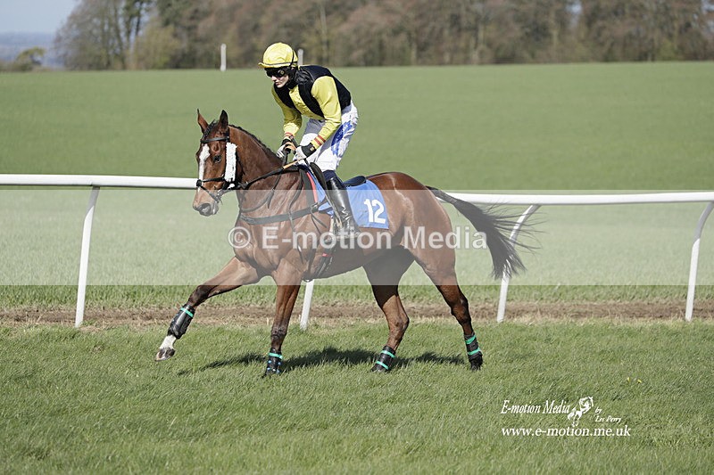 PtP 100423 739 - Old Berkshire Point-to-Point Lockinge 10/04/23