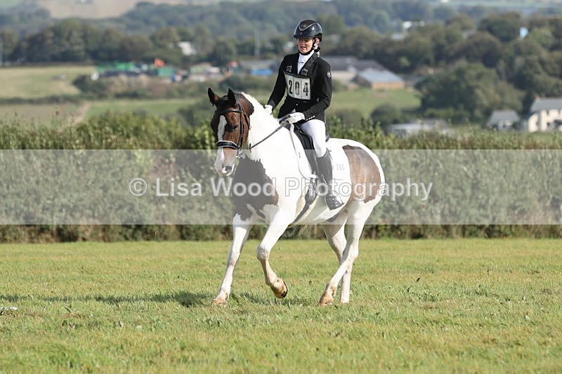 JPP_8127 - Class 2A: Trekenning Open: Dressage