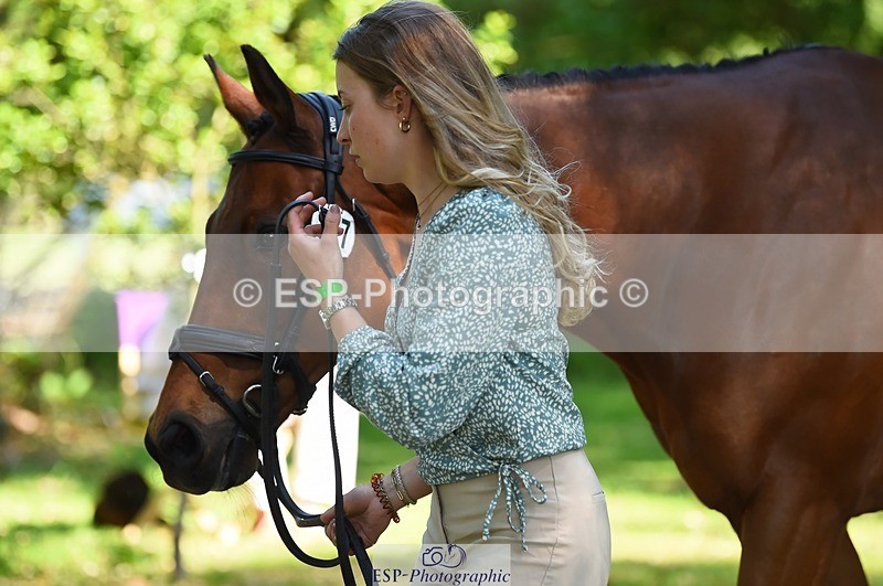 230524-154854-00524 - 377-GOLD_NUGGET-Jillian_Giessen-WEDTrotUp+DR