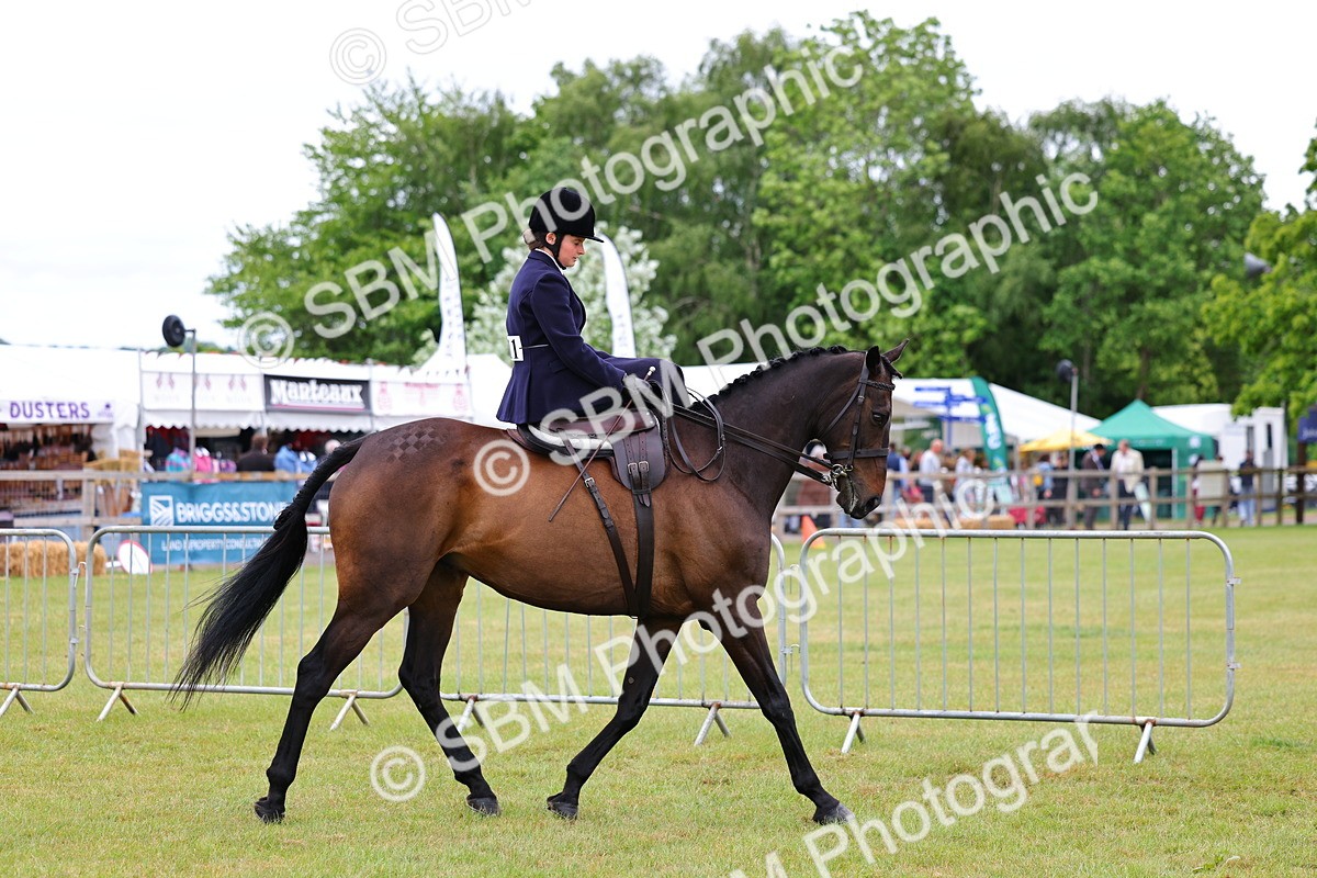 SBM_02708 - Class 9-11 Side Saddle including LIHS Rising Star Ladies Show Horse