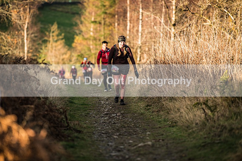 Tweed Valley-480 - High Terrain Events Tweed Valley 50 & 65K Ultra Trail Races Sunday 16th November 2025