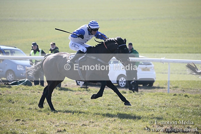 PtP 240218 57 - Vine & Craven Hunt Point-to-Point Barbury racecourse 24/02/18