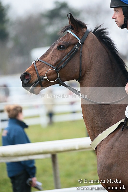 PtP 170219 -540 - Combined Services Point-To-Point Larkhill 17/02/19