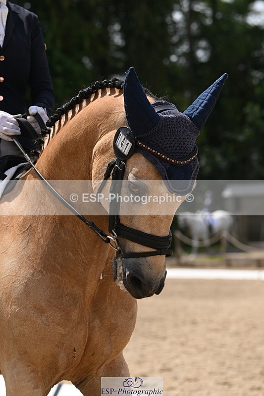 250719A-125339-05148 - 141-Chloe.Dunn-Towerhill.Shamie