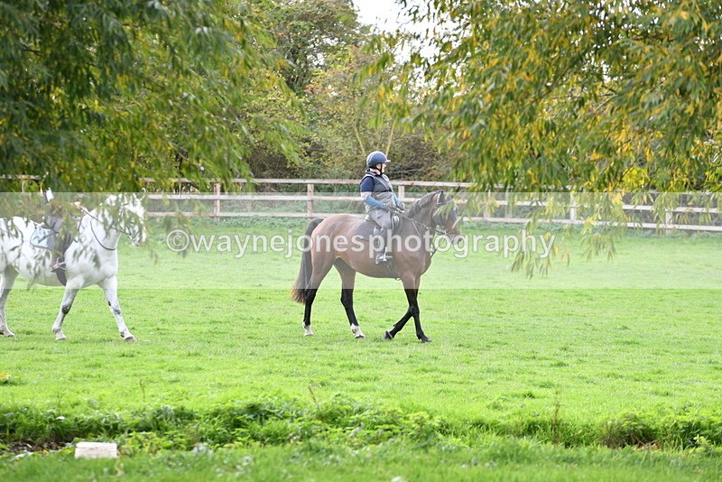 WJ5_0874 - Time 14:29 to 15:31