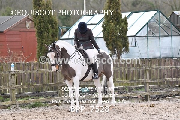 BPP_7528 - RING 1  (RIDDEN HORSES / IN HAND / VETERAN ETC)
