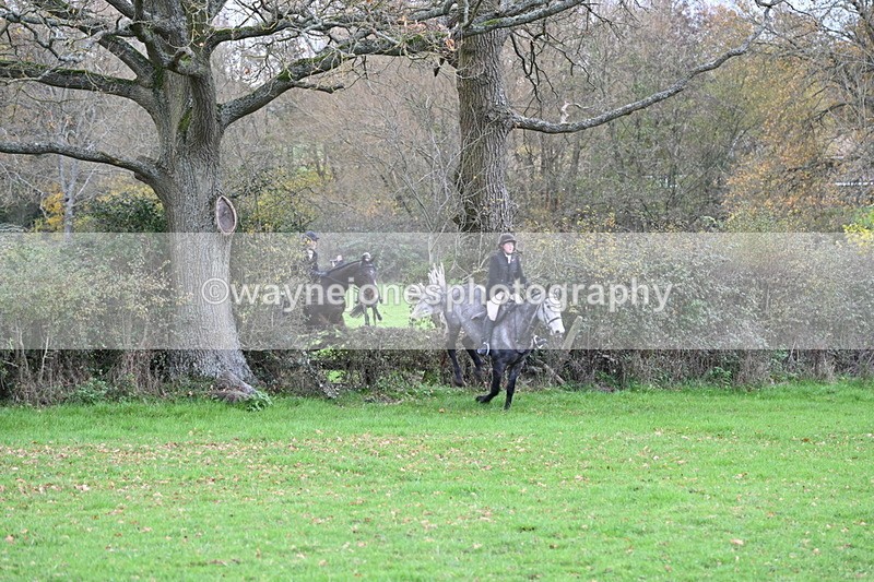 WJ6_1460 - Camera 1