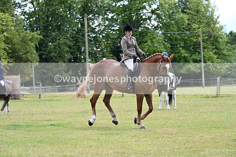 WJ7_9339 - Class 8 Ridden Veterans
